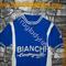 Maglia ciclismo    Bianchi Campagnolo '70s  ricamata 