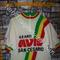 VINTAGE Maglia ciclismo AVIS S Cesario Modena '70s ricamata