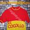 VINTAGE  maglia  Ciclismo  G S   COGOLLO '70s 