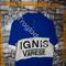 Maglia ciclismo    GS  Ignis Varese '60s  ricamata 