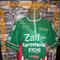 VINTAGE maglia Ciclismo Zalf Euromobil 1990