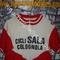 Maglia ciclismo    Cicli SALA COLOGNOLA MONZA BRIANZA MILANO '70s 