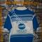 VINTAGE  maglia  ciclismo  GS MINOLTA Milano '70s