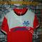 Maglia ciclismo   Lamberet France team '70s 