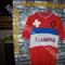 Maglia ciclismo    Flaminia Treviso '70s  ricamata 