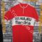 Maglia ciclismo      Flandria  Beaulieu '70s  ricamata  