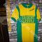 Maglia ciclismo   Groene Leeuw '70s  ricamata  