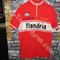 # Maglia ciclismo     FLANDRIA '70s ricamata  