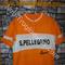VINTAGE  maglia  Ciclismo    '70 ricamata  S. Pellegrino