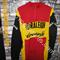 #VINTAGE  maglia  Ciclismo  Ti Raleigh  Campagnolo'70s 
