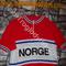 Maglia ciclismo    team Norge Norvegia '70s ricamata 