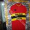 Maglia ciclismo    Ti Raleigh Creda '70s  ricamata  