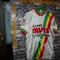 Maglia ciclismo    GS  AVIS San Cesario Modena '70s  ricamata  