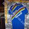 Maglia ciclismo    Record Campagnolo '70s  ricamata   