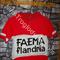 Maglia ciclismo    FAEMA FLANDRIA '60s  ricamata 