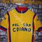 VINTAGE  Maglia Ciclismo G S  COIANO '70s