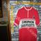 Maglia ciclismo  Europhon Guerciotti'70s  ricamata  